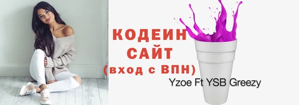 соль ск Алзамай