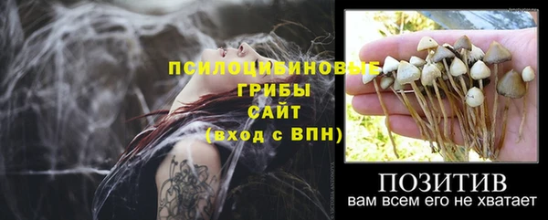 прущие грибы Алексеевка