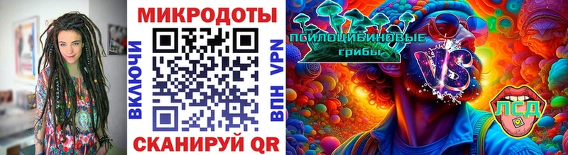 купить  цена  Алексеевка  Галлюциногенные грибы прущие грибы 